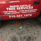 Marvin Castillo Tree and Landscaping Service