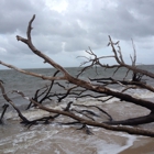 Little Talbot Island State Park