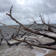 Little Talbot Island State Park