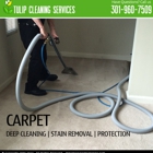 Tulip Cleaning Services