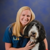 Tampa Veterinary Hospital gallery