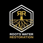 Roots Water Restoration