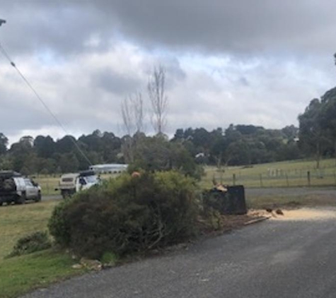 Simpson Trees & Stumps - Alfredton, VIC