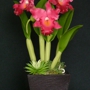 ClayFlowerShop.com