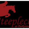 Steeplechase at Parkview gallery