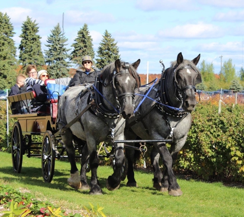 Fantail Farm LLC - Benzonia, MI