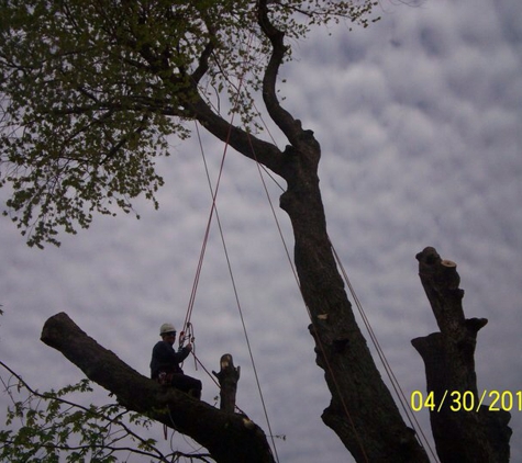 J&M Tree Service - Flint, MI