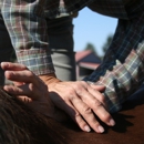 Audrey Staton, DVM, CVA - Veterinarians