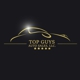 Top Guys Auto Sales, LLC