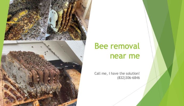 Raul The Bees Guy - Katy, TX. bee removal near me