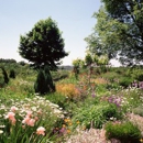 Blue Horse Design Company - Landscape Designers & Consultants