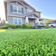 Beyond Grass