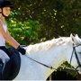 Leg Up Equestrian - English Riding Academy