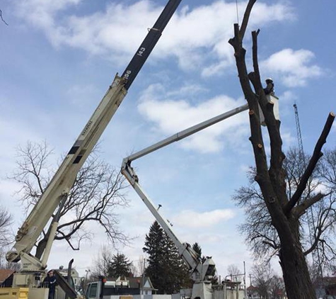 Clapper Crane & Tree Services - Clear Lake, IA