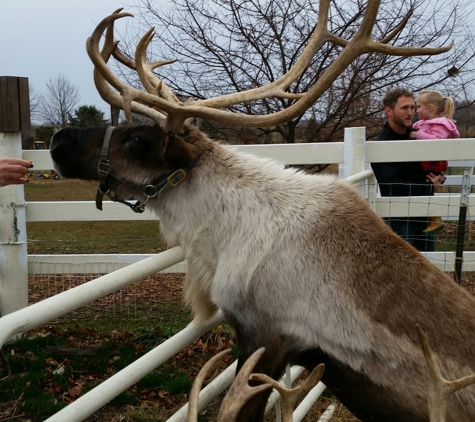 Hardy's Reindeer Ranch - Rantoul, IL. Visit Santa's reindeer at Hardy's Reindeer Ranch in Rantoul Illinois.  It's only 4.00 for the reindeer tour.
