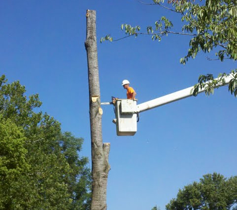 Thompson Tree Service