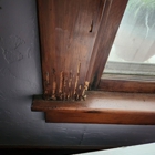 State Termite Control Inc