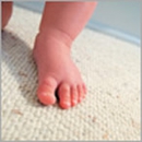 Colorado Carpet Masters - Upholstery Cleaners