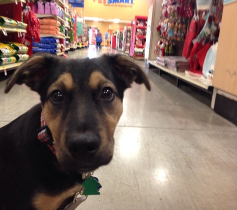 PetSmart - Broadview, IL