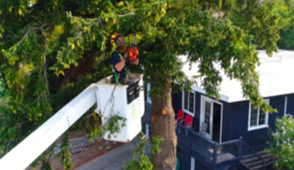 Earthworks Tree Service - Mount Vernon, WA