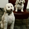 Tiemann Law Firm gallery