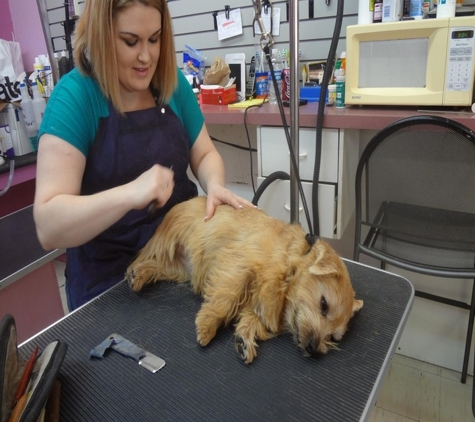 Groomingdales Pet Salon - Tucson, AZ