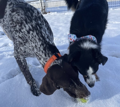 Cocos Dog Boarding and Daycare - Felton, PA