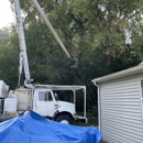 Holland Tree Services - Arborists