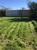 7 Day Gardens - Lawn Cutting & Maintenance