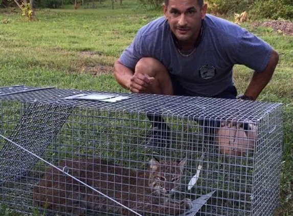 Central Florida Wildlife Trapping - Winter Park, FL