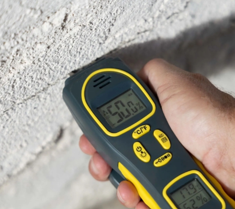 Black & White Pest Control - Greenbank, QLD