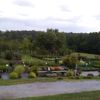 Allgreen Nursery & Landscaping gallery