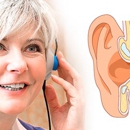 Associated Coastal Ent - Physicians & Surgeons, Otorhinolaryngology (Ear, Nose & Throat)