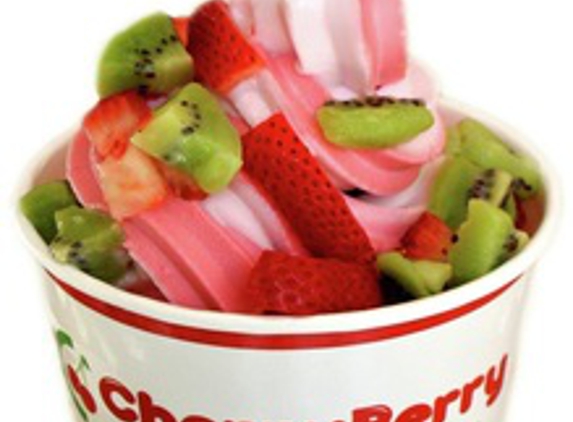 CherryBerry Frozen Yogurt Bar - Duncan, OK