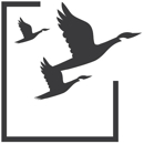 RBT CPAs, LLP - Accountants-Certified Public