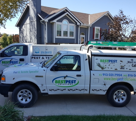 Best Pest Solution - Belton, MO