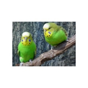 Gallery Image Number 6