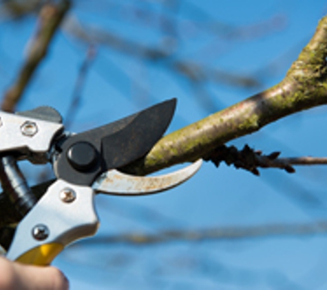 ArborTech Tree Service - Clifton Park, NY