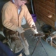 All Hoof Farrier Services