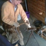 All Hoof Farrier Services