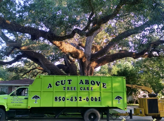 A Cut Above Tree Care, Inc.