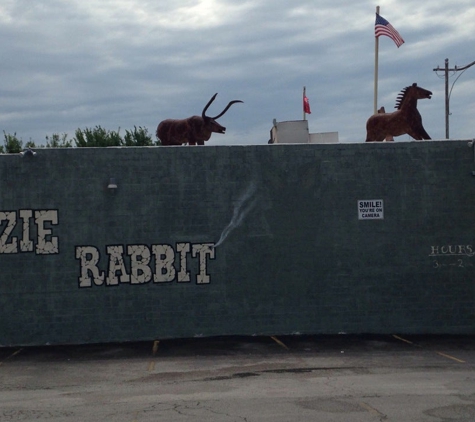 Ozzie Rabbit - Fort Worth, TX