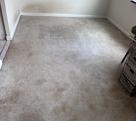 Tulip Carpet Cleaning of Arlington - Arlington, VA