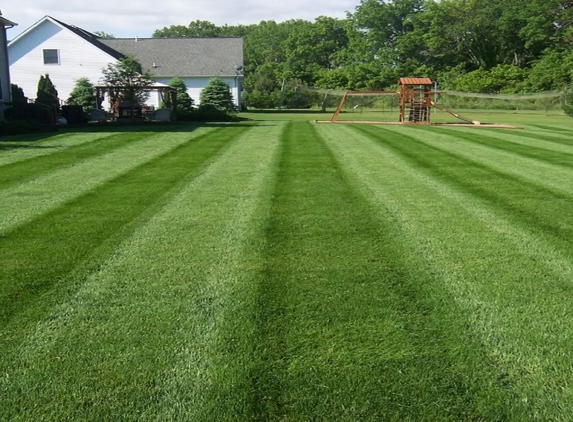 We Only Cut Grass Inc - Dundalk, MD