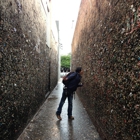 Bubblegum Alley