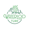 Waterloo Turf Las Vegas Artificial Grass gallery