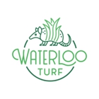 Waterloo Turf Las Vegas Artificial Grass