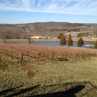 Chandler Hill Vineyards