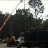 Southern Tree Services Inc gallery