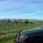 Eagle Ridge Vineyard